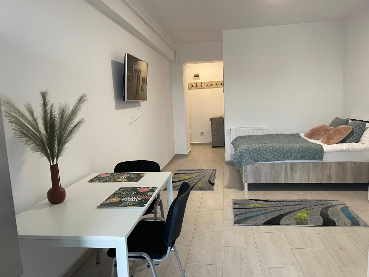 Studio Apartment Palas Mall 이아시 외부 사진